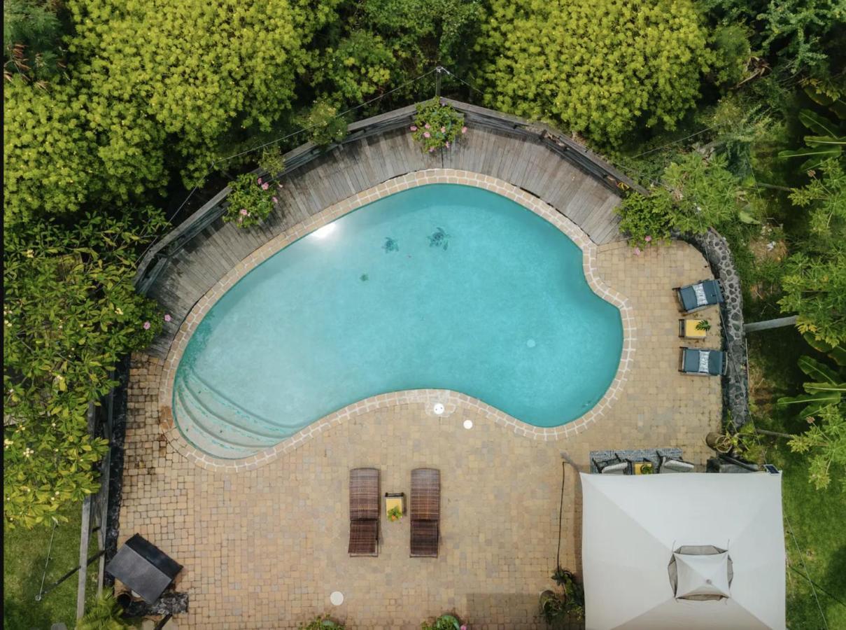 Apartament The Koi House With Pool Kailua-Kona Zewnętrze zdjęcie